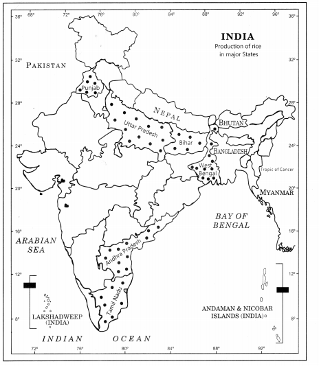 Practical Work in Geography Class 12 Solutions Chapter 3 Graphical Representation of Data Activity Q4.3