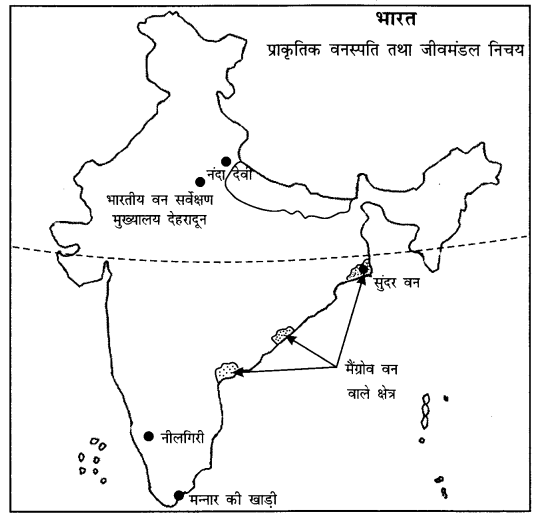 NCERT Solutions for Class 11 Geography Indian Physical Environment Chapter 5 (Hindi Medium) 1